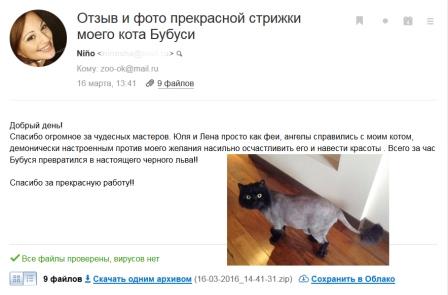 стрижка агрессивного кота, стрижка кошек, отзывы о грумере